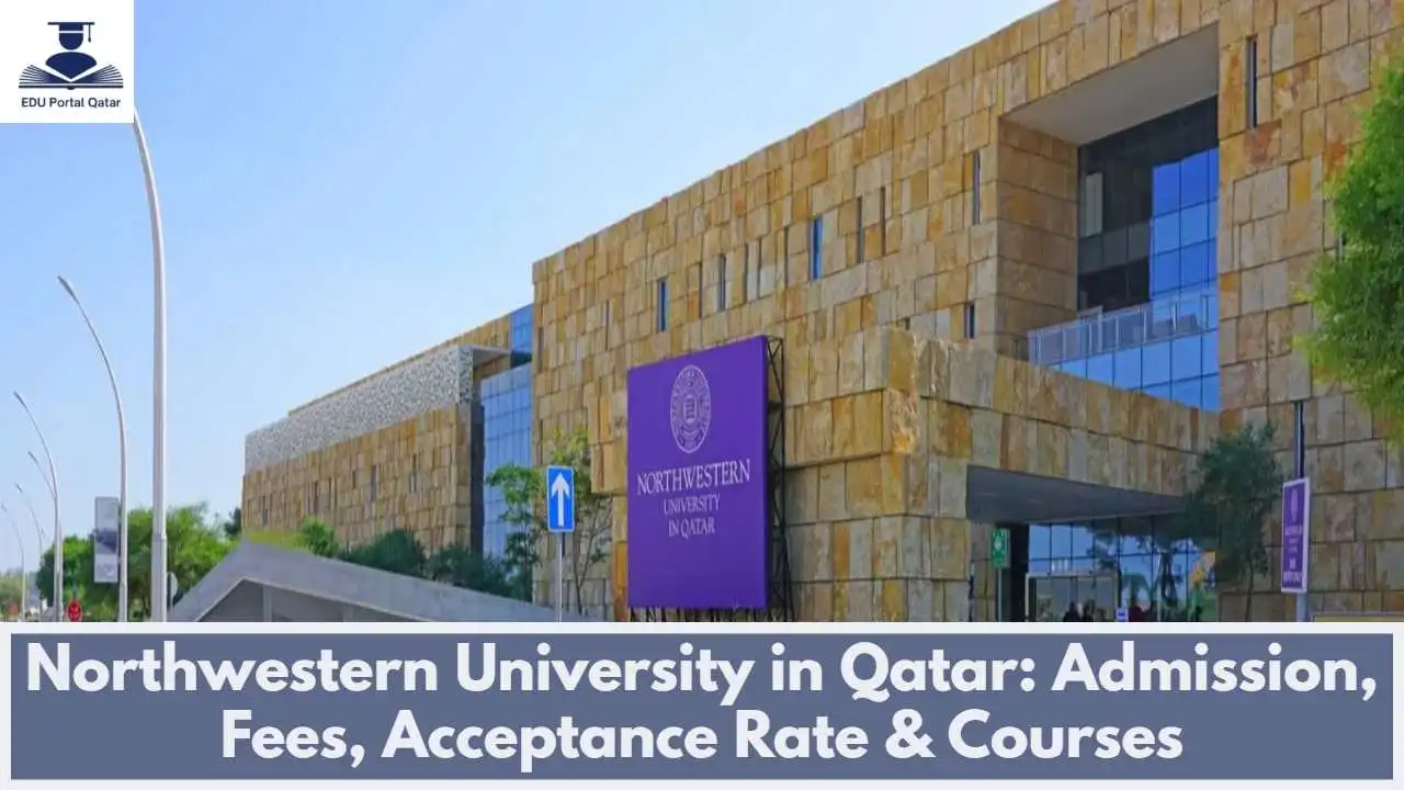 Northwestern University in Qatar: Admission, Fees, Acceptance Rate & Courses